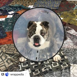 Image post by @pallastextiles on Instagram