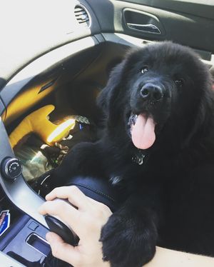 Image post by @nashthenewfie on Instagram