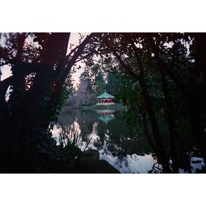Image post by @milesbjordan on Instagram