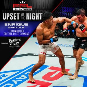 Image post by @pflmma on Instagram