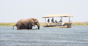 Image post by @chiawasafaris on Instagram