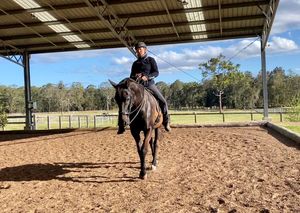 Image post by @balanceddressage on Instagram