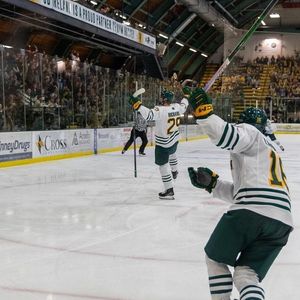 Image post by @everythingcollegehockey on Instagram