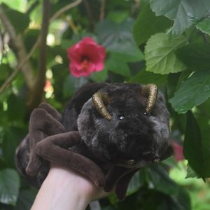 Image post by @butterflypavilion on Instagram