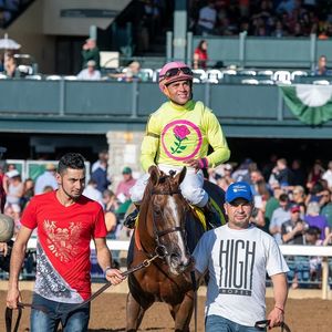 Image post by @thebloodhorse on Instagram