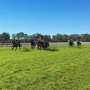Image post by @australianturfclub on Instagram