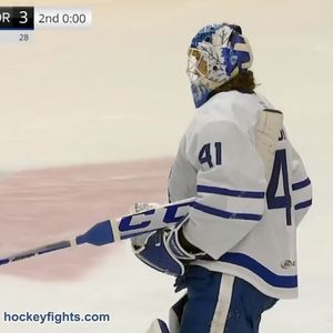 Image post by @hockeyfights on Instagram