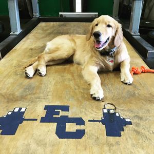 Image post by @endicott_ap on Instagram