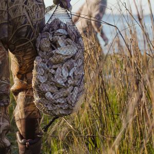 Image post by @toadfishoutfitters on Instagram