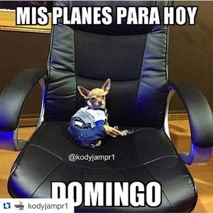Image post by @nickyjam on Instagram
