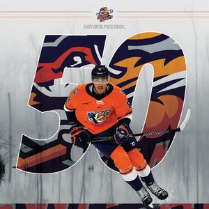 Image post by @swamprabbits on Instagram