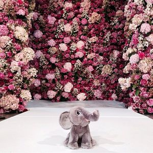 Image post by @karliekloss on Instagram