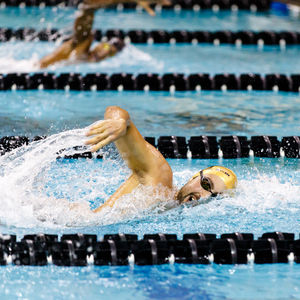 Image post by @purduewswimdive on Instagram