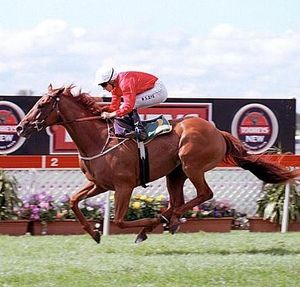 Image post by @australianturfclub on Instagram