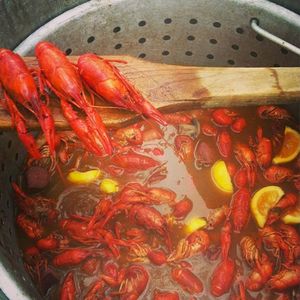 Image post by @lafishfry on Instagram