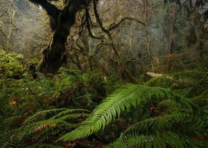 Image post by @nationalparkscollective on Instagram