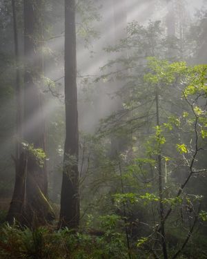 Image post by @nationalparkscollective on Instagram