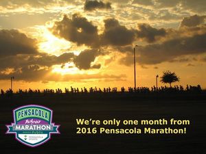 Image post by @pensacolasports on Instagram