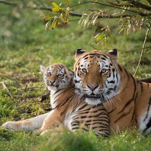 Image post by @discovery on Instagram