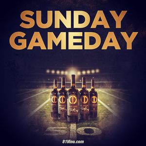 Image post by @terrellowens on Instagram