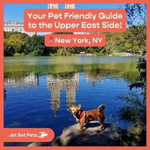 Image post by @jetsetpets on Instagram