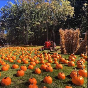 Image post by @farmcredit on Instagram