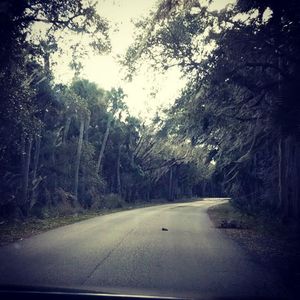 Image post by @visitsarasotacounty on Instagram