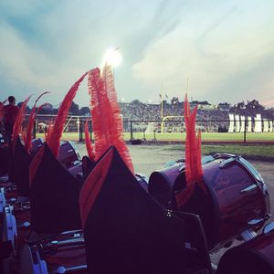 Image post by @carolinacrown on Instagram
