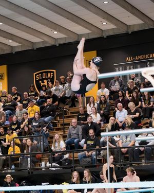 Image post by @stolafswimdive on Instagram