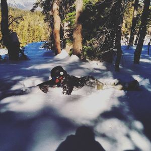 Image post by @uscskiandsnowboard on Instagram