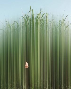 Image post by @fubiz on Instagram
