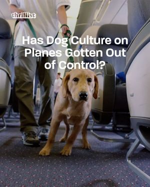 Image post by @thrillist on Instagram