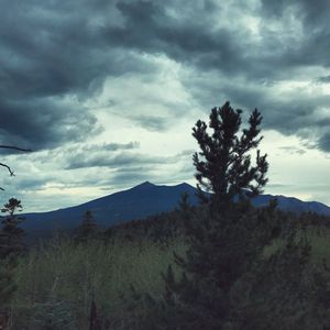 Image post by @nauflagstaff on Instagram