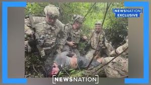 Video post by @newsnation on YouTube
