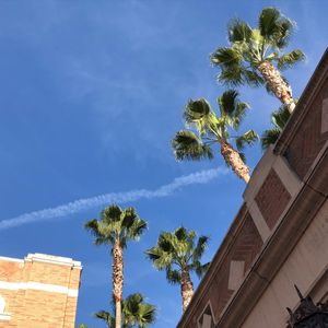 Image post by @uscdornsife on Instagram