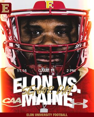 Image post by @elonfb on Instagram