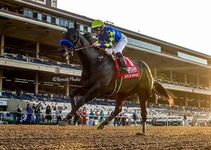 Image post by @thoroughbred_daily_news on Instagram