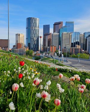 Image post by @cityofcalgary on Instagram