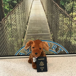 Image post by @umbclife on Instagram