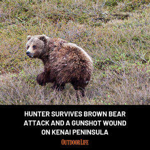 Image post by @outdoor_life on Instagram