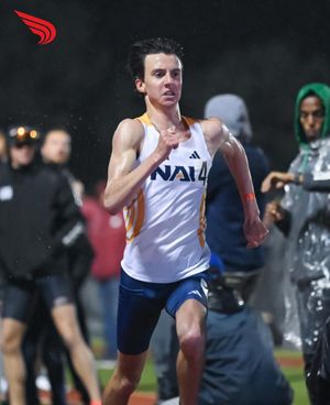 Image post by @dyestat on Instagram