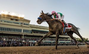 Image post by @pegasusworldcup on Instagram