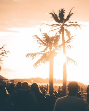 Image post by @opener_festival on Instagram