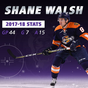 Image post by @readingroyals on Instagram