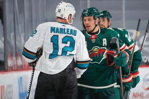 Image post by @minnesotawild on Instagram