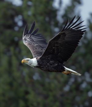 Image post by @nationalparkscollective on Instagram