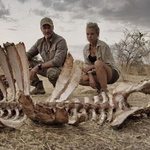 Image post by @discovery on Instagram