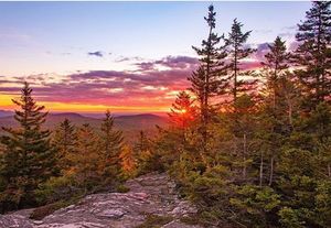Image post by @themainemag on Instagram