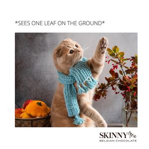 Image post by @skinnymechocolates on Instagram