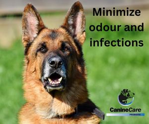 Image post by @caninecareprobiotic on Facebook